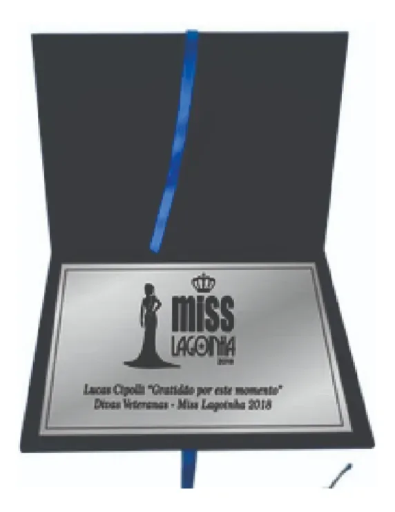 Placa de Homenagem em Aço Inox 15x10 cm com Estojo