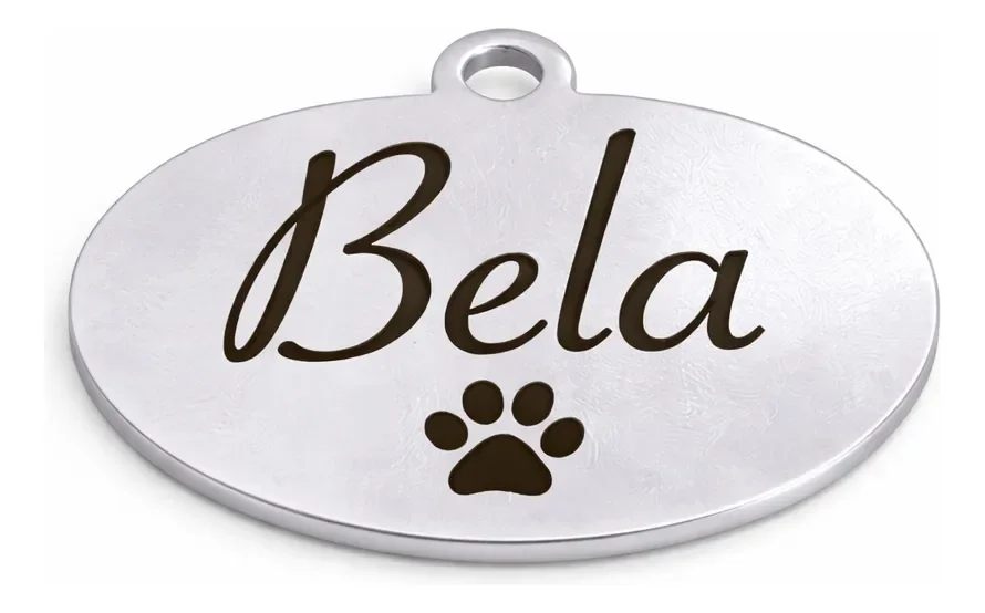Placa Pet Inox Personalizada para Nome e Telefone