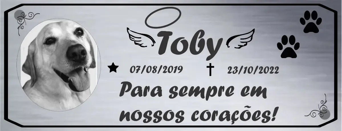 placa pet para túmulo em aço inox escovado 8x20 personalizada - imagem 2