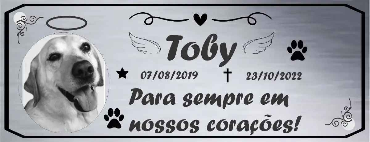 Placa Pet para Túmulo em Aço Inox 8x20 cm
